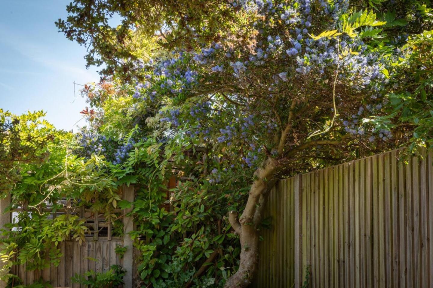 וויטסטייבל Eden Cottage מראה חיצוני תמונה